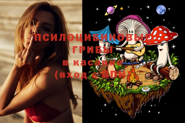 прущие грибы Красноперекопск