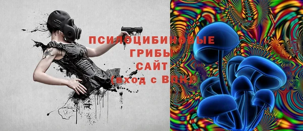 прущие грибы Красноперекопск