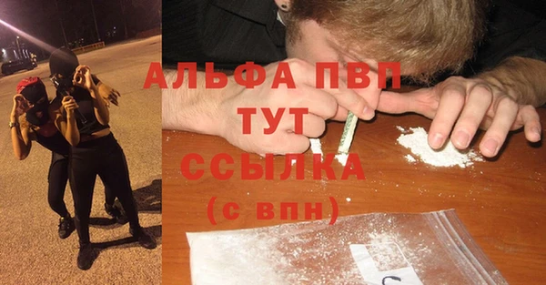 прущие грибы Красноперекопск