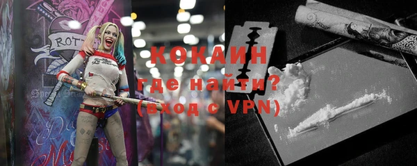 прущие грибы Красноперекопск