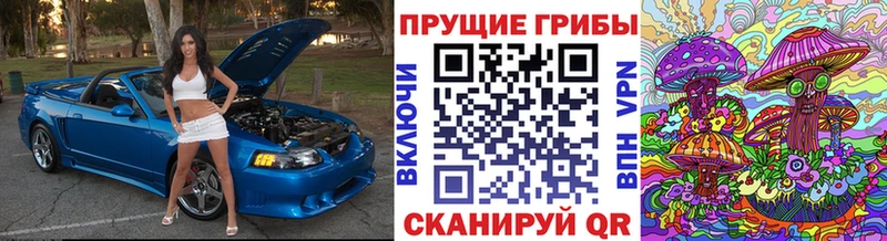Купить закладки  Томилино  Галлюциногенные грибы мицелий 